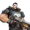 The Punisher