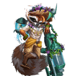 Sunshine Raccoon